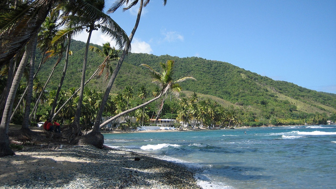 photo of Whale Eco Tour PYJLPT (Rezdy Activity) activity