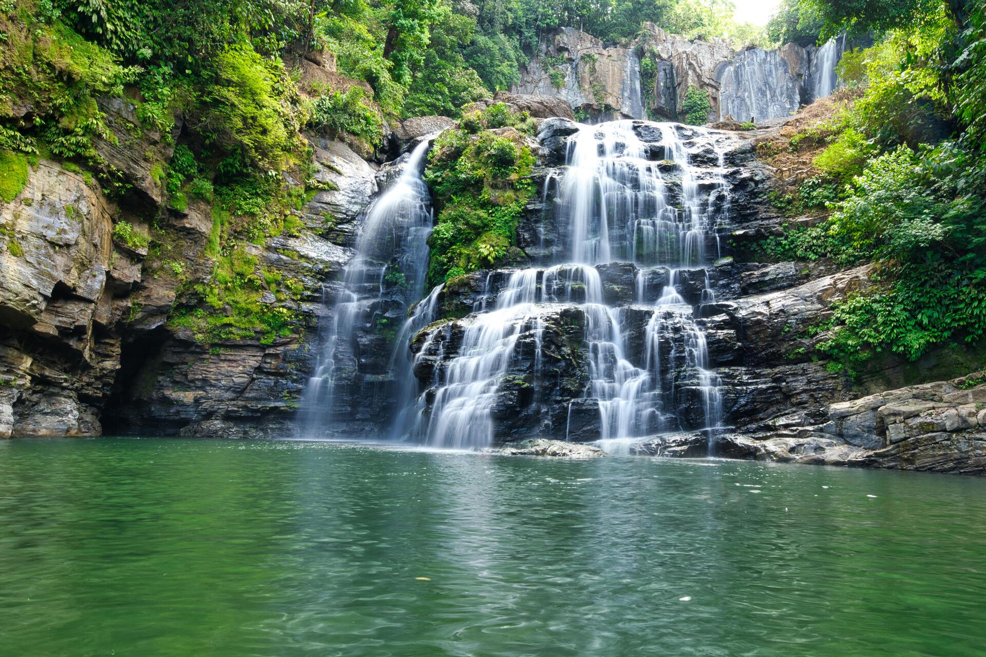 photo of El Yunque Rainforest Tour activity